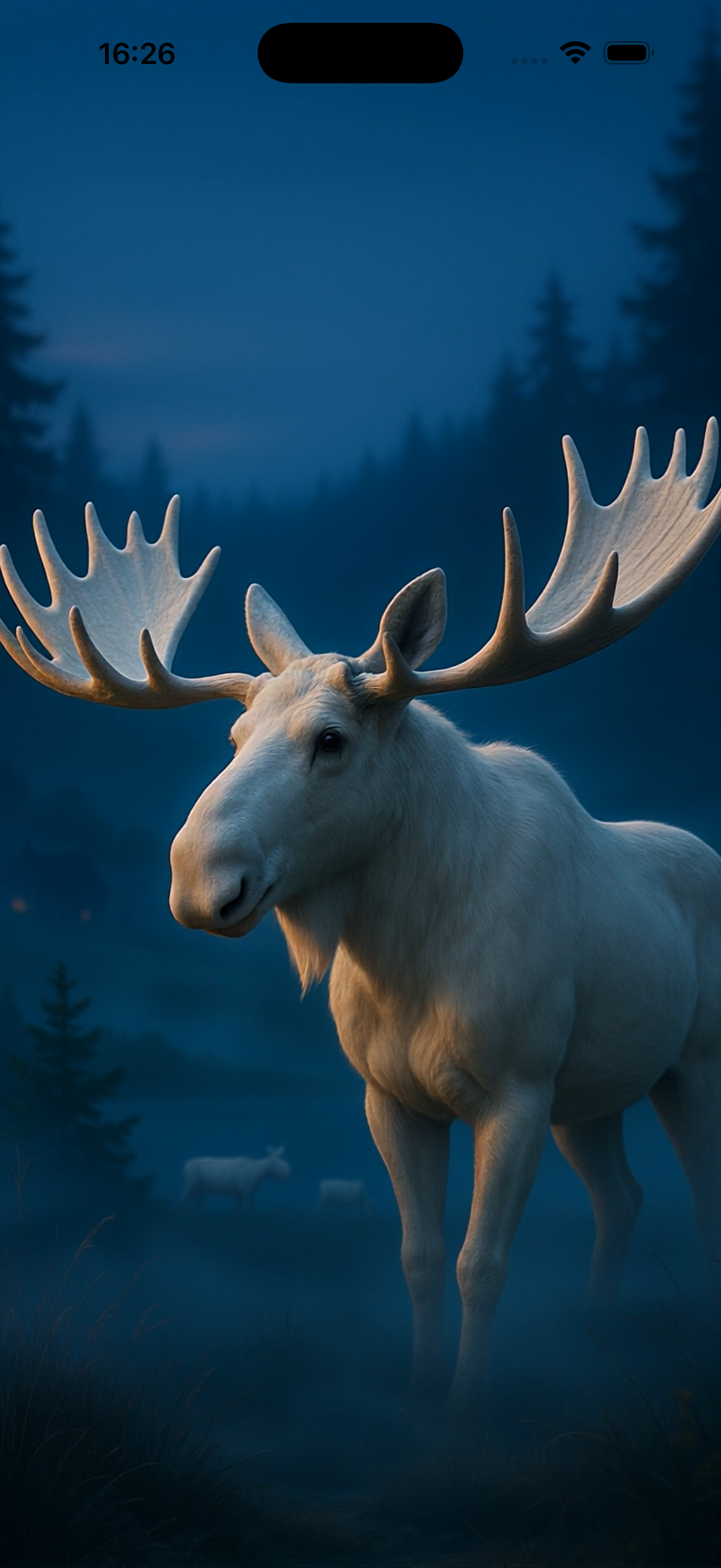 Moose Theme